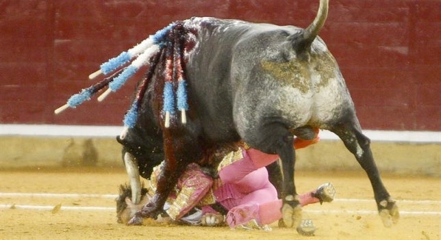 Imágenes del año 2011