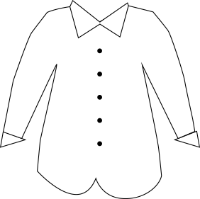 Camisa