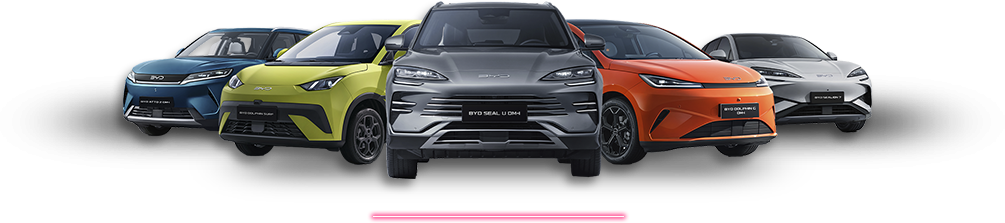 Coches BYD