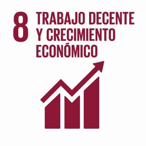 Trabajo decente y crecimiento económico