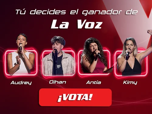 ¿Quién quieres que pase a la final? ¡Vota!