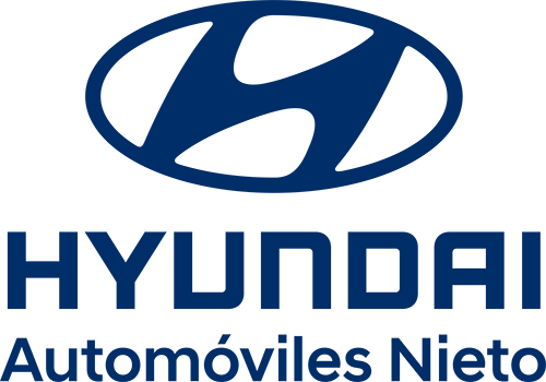 Hyundai Nieto