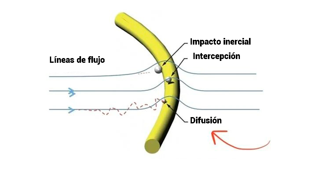 Son los filtros HEPA una solución segura para el COVID-19? - Provihostel